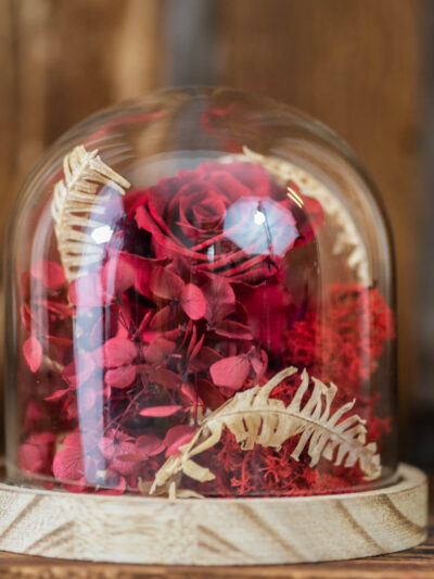 Cloche "coup de foudre"