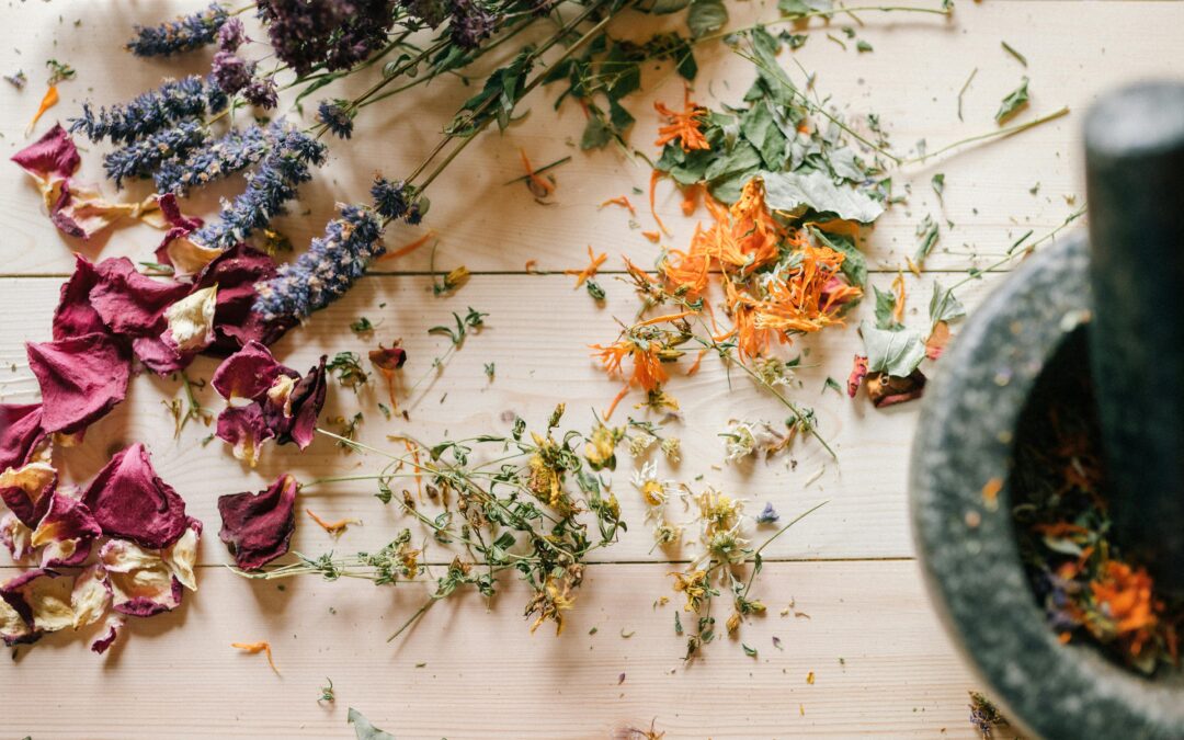 Les plantes