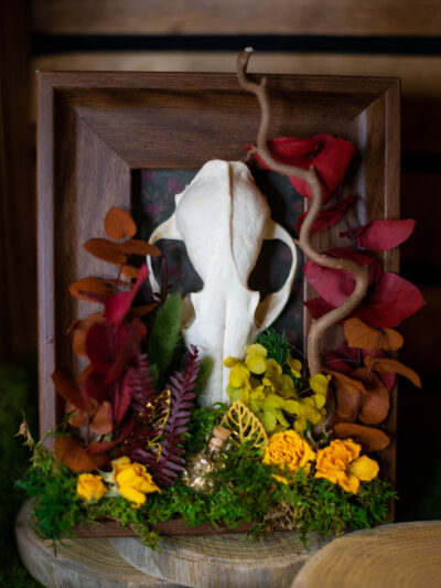 Cadre animal fleurie